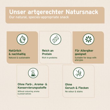 Tierprodukt-Werbung mit Hunden. Höhepunkte: Snack für Training, Stressabbau, Zahnreinigung und Tipps zum Verstecken von Leckerlis. Marke: AniForte.