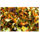 Bunte Mischung aus getrocknetem Gemüse, darunter orange Karotten, grüne Blattgemüse und lila Stücke, ideal für Tierfutter.