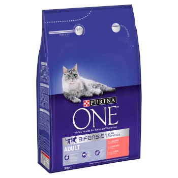 Cat and dog deals food in one