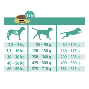 Guide d'alimentation pour la nourriture pour chiens Select Gold, détaillant les quantités quotidiennes recommandées en fonction des catégories de poids des chiens de 2,5 kg à 80 kg.