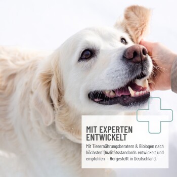 Golden Retriever wird sanft gestreichelt, mit dem Text "MIT EXPERTEN ENTWICKELT" und Informationen über die Expertenentwicklung in Deutschland.