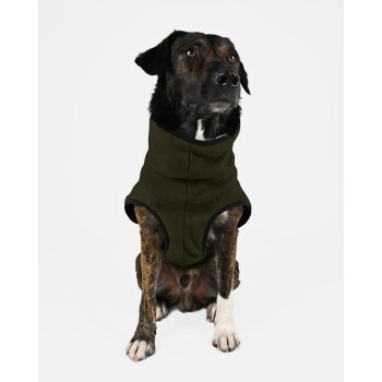 Ein mittelgroßer Hund mit einem schwarz-braunen Fell, der eine dunkelgrüne Fleeceweste trägt, sitzt vor einem weißen Hintergrund.