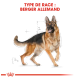 Illustration d'un chien de berger allemand avec un contour de croquis détaillé, étiqueté "TYPE DE RACE : BERGER ALLEMAND" en texte rouge gras.