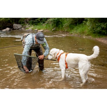 Ein Mann in Wathosen und einem karierten Hemd fischt in einem Bach, hält ein Netz, während ein weißer Hund mit einem orangefarbenen Geschirr neugierig zuschaut.
