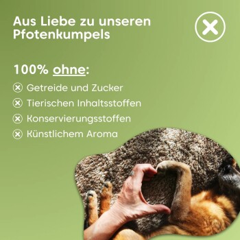 Bild, das ein Haustierprodukt mit deutschem Text bewirbt: "100% frei von Getreide, Zucker und Konservierungsstoffen," mit einer Herzform aus einer Hand und der Pfote eines Hundes.