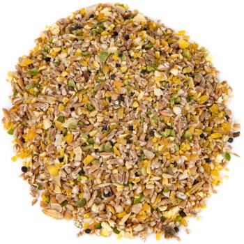 Eine Nahaufnahme einer bunten Mischung aus Vogelfutter, die verschiedene Körner, Samen und kleine Gemüsestücke zeigt, die in einem kreisförmigen Haufen angeordnet sind.