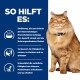 Prescription Diet k/d + Mobility Feline mit Huhn 12x85 g