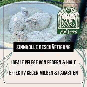 Drei junge Vögel in einer Pulverschüssel, mit Text über Vorteile für Feder- und Hautpflege sowie Wirksamkeit gegen Milben und Parasiten.