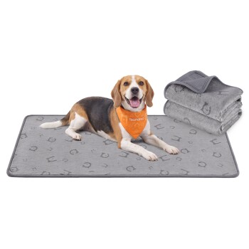 Beagle liegt auf einer grau gemusterten Haustiermatte, trägt ein orangefarbenes Halstuch mit der Aufschrift 'Feandrea'; daneben gefaltete graue Decken.