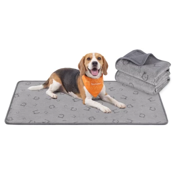 Beagle liegt auf einer grau gemusterten Haustiermatte, trägt ein orangefarbenes Halstuch mit der Aufschrift 'Feandrea'; daneben gefaltete graue Decken.