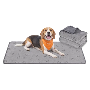 Beagle liegt auf einer grau gemusterten Haustiermatte, trägt ein orangefarbenes Halstuch mit der Aufschrift 'Feandrea'; daneben gefaltete graue Decken.