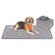 Beagle liegt auf einer grau gemusterten Haustiermatte, trägt ein orangefarbenes Halstuch mit der Aufschrift 'Feandrea'; daneben gefaltete graue Decken.