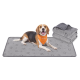 Beagle liegt auf einer grau gemusterten Haustiermatte, trägt ein orangefarbenes Halstuch mit der Aufschrift 'Feandrea'; daneben gefaltete graue Decken.