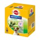 Friandises pour chiens Pedigree DentaStix Daily Fresh, 28 bâtonnets pour chiens pesant entre 5 et 10 kg, avec une boîte verte au design en forme d'étoile.