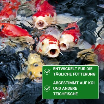 Bunte Koi-Fische schwimmen im Wasser, mit einem grünen Etikett, das besagt: 'Entwickelt für die tägliche Fütterung, abgestimmt auf Koi und andere Teichfische.'