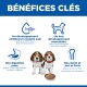 Deux chiots beagle avec un bol de croquettes sous le titre français « BÉNÉFICES CLÉS » avec icônes pour cerveau, muscles, digestion et dents