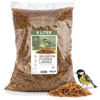 Durchsichtige Tüte mit der Aufschrift '5 LITER' 'SOLDATEN FLIEGEN LARVEN', gefüllt mit getrockneten Soldatenfliegenlarven, Haufen und ein kleiner Vogel daneben.