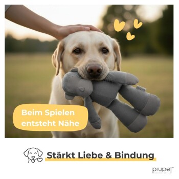 Hund hält ein graues Plüschtier, eine Hand streichelt es, Text auf Deutsch: „Beim Spielen entsteht Nähe“ und „Stärkt Liebe & Bindung.“