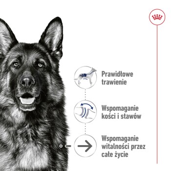 Zbliżenie na twarz owczarka niemieckiego z tekstem: "Wspiera trawienie, kości, stawy i witalność."
