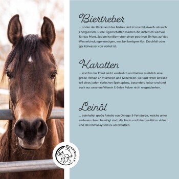 Eine Nahaufnahme des Gesichts eines Pferdes mit Text auf der rechten Seite, der die Vorteile von Bierhefe, Karotten und Leinsamenöl für Pferde beschreibt.