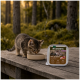 Chaton tigré mangeant dans un bol sur une table en bois à côté d'un plateau de nourriture humide Wilderness Kitten Wide Savannah étiqueté 97 %.