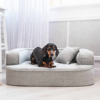 Illustration eines Haustiersofas, beschriftet mit "Größe M" mit den Abmessungen: 80 cm (Länge), 60 cm (Breite), 20 cm (Höhe) und einem Kissen.