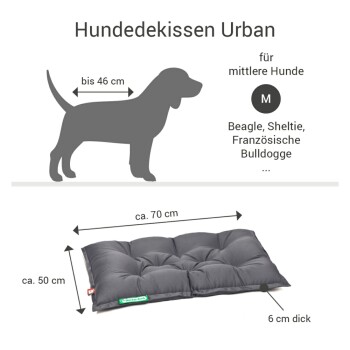 Hundebett "Urban" für mittelgroße Hunde, Abmessungen ca. 70 cm x 50 cm, 6 cm dick, geeignet für Rassen wie Beagle und Französische Bulldogge.