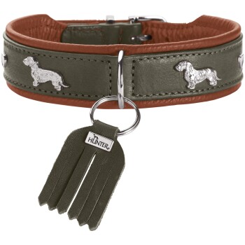 Olivgrünes und braunes Leder‑Hundehalsband mit silbernen Dackel‑Nieten, Metall‑O‑Ring und Quastenanhänger mit der Aufschrift "HUNTER".