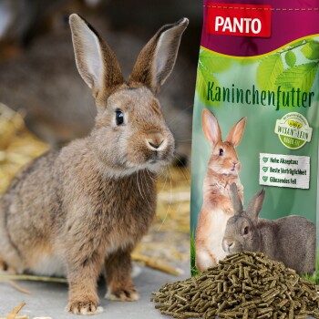 Ein brauner Hase steht neben einem Sack PANTO-Kaninchenfutter, das Bilder von Kaninchen und Text über hohe Akzeptanz und glänzendes Fell zeigt.