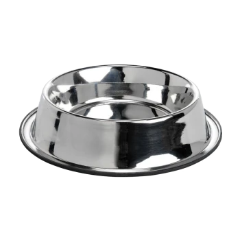Stainless steel pet food bowl with a shiny finish and a rubber base to prevent slipping.