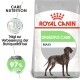 Royal Canin Digestive Care Hundefutterbeutel mit einer Silhouette eines braunen Hundes, mit Text, der Vorteile zur Verbesserung der Stuhlqualität hervorhebt.