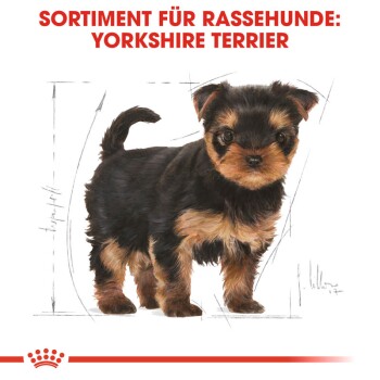 Illustration eines Yorkshire Terrier Welpen mit einem schwarz-braunen Fell, begleitet von dem Text "SORTIMENT FÜR RASSEHUNDE: YORKSHIRE TERRIER."