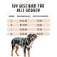 Ein Hund mit einem grünen Geschirr, daneben eine Größentabelle mit Maßen für die Größen S, M, L und XL auf Deutsch.