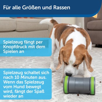 Ein Beagle spielt mit einem grau-grünen interaktiven Spielzeug auf einem Teppich, das automatisches Spielen und eine 10-Minuten-Abschaltung bietet.