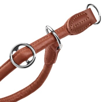 Nahaufnahme eines braunen Lederhalsbandes für Hunde mit silbernen Metallringen und Nähdetails.