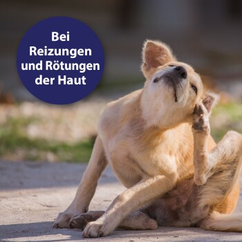 Ein hellbrauner Hund, der sich das Ohr kratzt, mit einem kreisförmigen Textüberlagerung, der in weißen Buchstaben 'Bei Reizungen und Rötungen der Haut' liest.