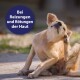 Ein hellbrauner Hund, der sich das Ohr kratzt, mit einem kreisförmigen Textüberlagerung, der in weißen Buchstaben 'Bei Reizungen und Rötungen der Haut' liest.