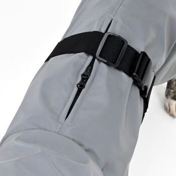 Eine Nahaufnahme eines grauen wasserdichten Hundemantels mit einem schwarzen verstellbaren Riemen und Schnalle, mit sichtbarem Reißverschlussdetail.