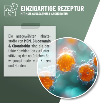 Etikett für ReaVet Gelenk Flüssigkeit, ein Nahrungsergänzungsmittel für Hunde und Katzen, das MSM enthält, mit Dosierungsanweisungen und Zutatenangaben.