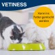 Eine schwarz-weiße Katze und ein flauschiger weißer Hund fressen aus einer grünen Schüssel, mit "VETINESS" und einem gelben Kreis, der sagt: "Kann ins Futter gemischt werden."