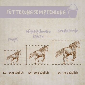 Fütterungsempfehlungen für Pferde: Ponys (10-15g täglich), Mittlere Rassen (15-20g täglich), Große Pferde (25-30g täglich).