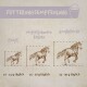 Fütterungsempfehlungen für Pferde: Ponys (10-15g täglich), Mittlere Rassen (15-20g täglich), Große Pferde (25-30g täglich).
