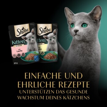 Sheba-Kittenfutterbeutel mit Geschmacksrichtungen mit Lachs und Huhn, fördert das gesunde Wachstum von Kätzchen, mit Text auf Deutsch.