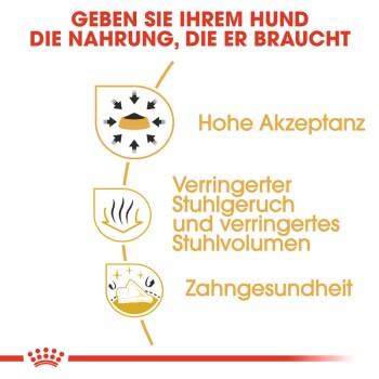 Infografik, die die Vorteile von Hundefutter bewirbt: hohe Akzeptanz, reduzierte Stuhlgeruch und -volumen sowie Zahngesundheit. Text auf Deutsch.