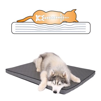 Ein flauschiger grau-weißer Hund schläft auf einer grauen orthopädischen Haustiermatratze, mit einer Illustration darüber, die die richtige Wirbelsäulenhaltung für Haustiere zeigt.