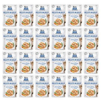Care Cat Pouch Fillets in Jelly Choice Chicken with Cheese 24 x 85 g