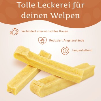 Drei gelbe Kauknochen für Welpen auf hellem Hintergrund mit Text: "Tolle Leckerei", "Verhindert Kauen", "Reduziert Angst", "langanhaltend".