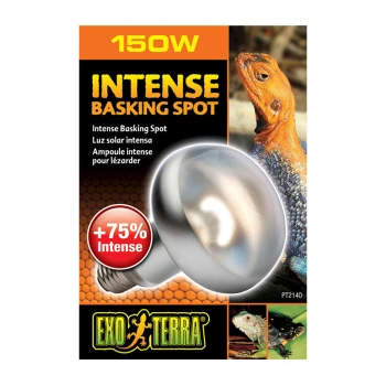 Intense Basking Spot 150 W Emballage de l'ampoule 150W Exo Terra Intense Basking Spot, présentant un gros plan de l'ampoule, un lézard et un texte mettant en avant +75% d'intensité.