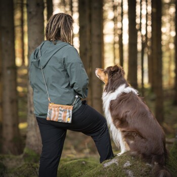 Person in grüner Jacke mit Hüft-Leckerlibeutel kniet neben einem braun-weißen Hund, der auf einem moosbedeckten Felsen im Wald sitzt.