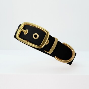 Schwarzes Leder-Hundehalsband mit einer glänzenden goldenen Schnalle und einem Metallring, vor einem hellen Hintergrund präsentiert.